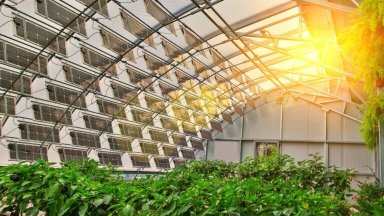 Topcon Solar Energy Indoor Farming